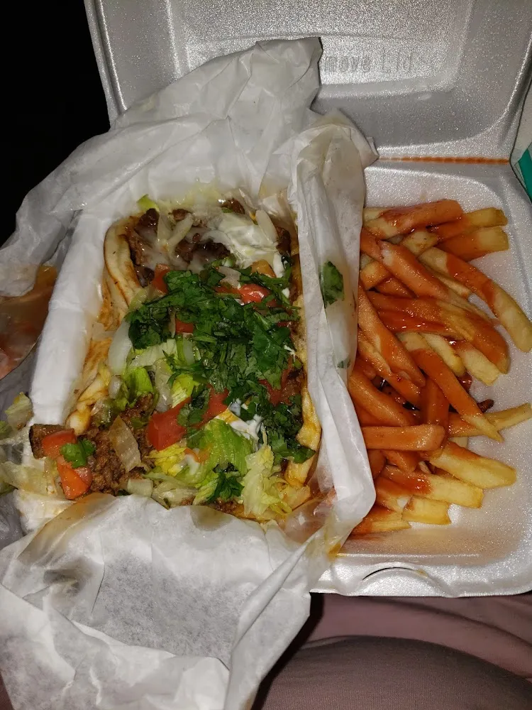 Steak Pita with Mild Sauce on Fries